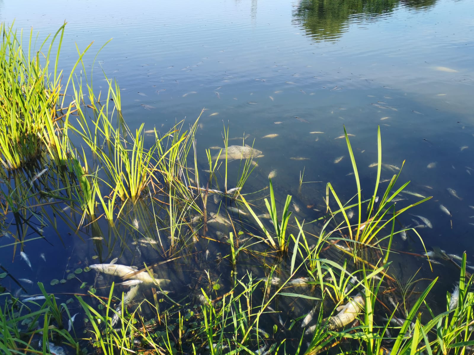 Sauerstoffmangel 2023